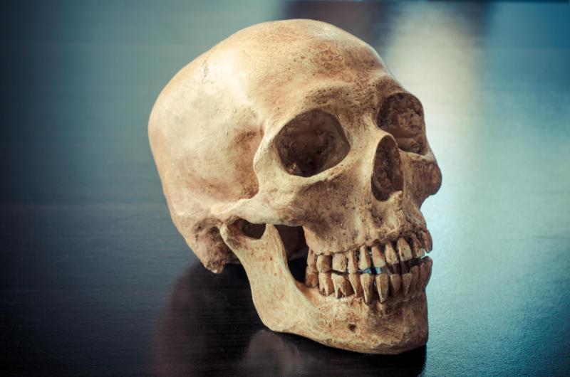 Antes No Había Caries