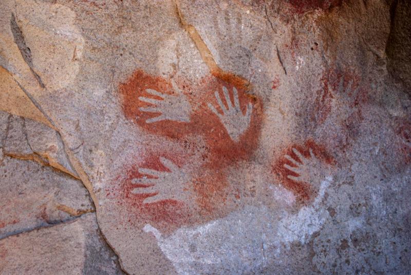 Homo Sapiens Vs Neandertales Cuestión De Dientes