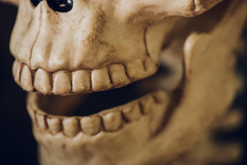 Los Dientes De Waterloo