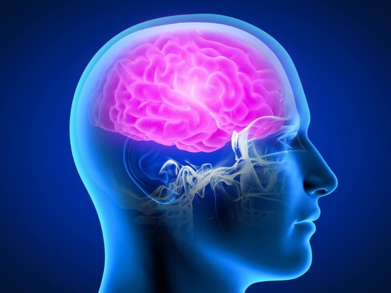 Tus Dientes Y Tu Cerebro Son Independientes